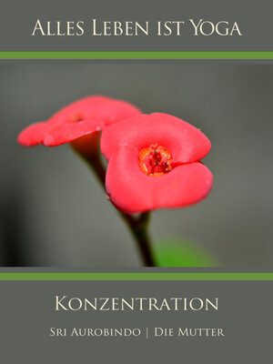 cover image of Konzentration